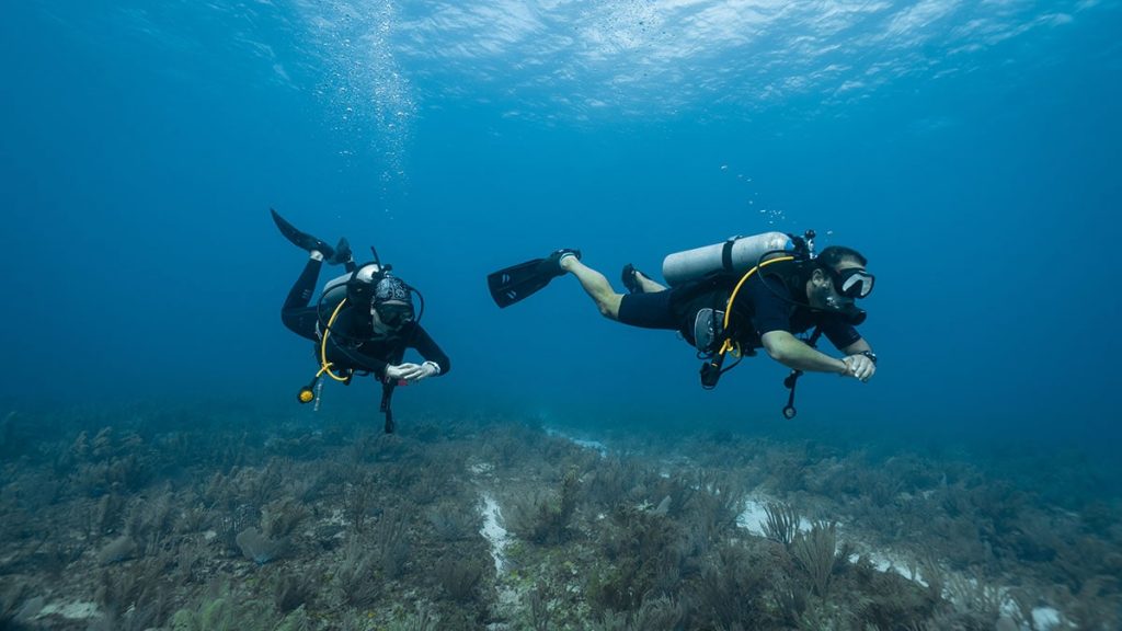 the-loving-couple-dives-among-corals-and-fishes-in